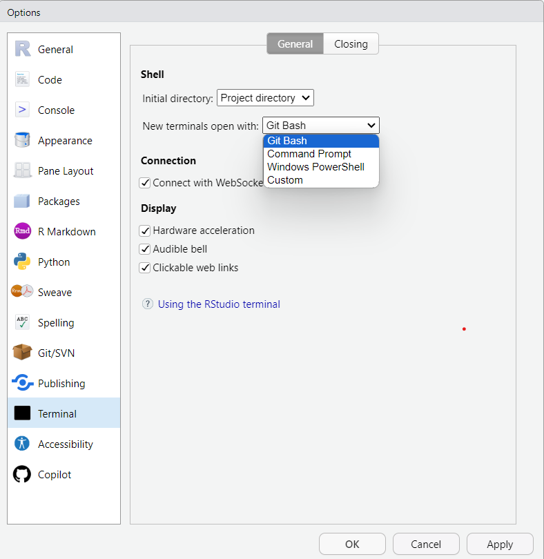 Rstudio Global Options Terminal panel